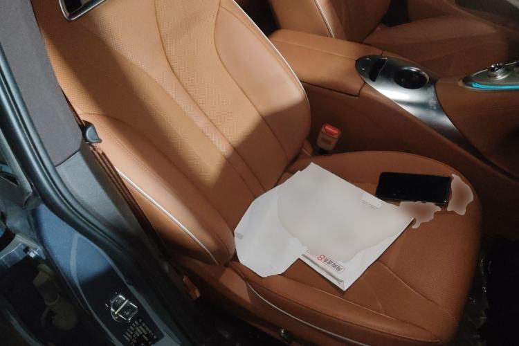 Used ORA Lightning Cat 2022 555 km Luxury Edition
