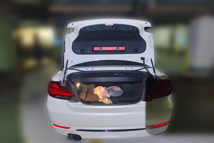 Used BMW 2 Series 2019 225i Convertible Coupe Sports Design Package