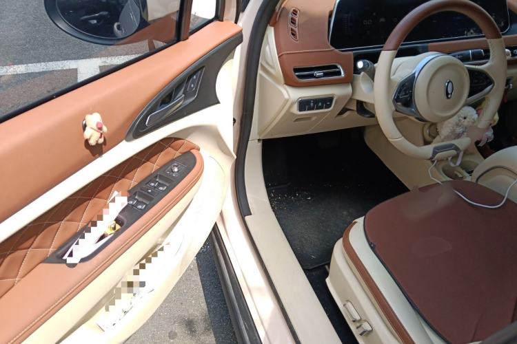 Used ORA Good Cat 2023 401 km Standard Range Luxury Version Lithium Iron Phosphate
