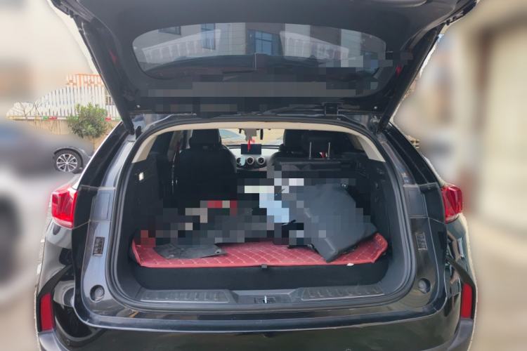 Used Wey P8 2018 2.0T Flagship Model
