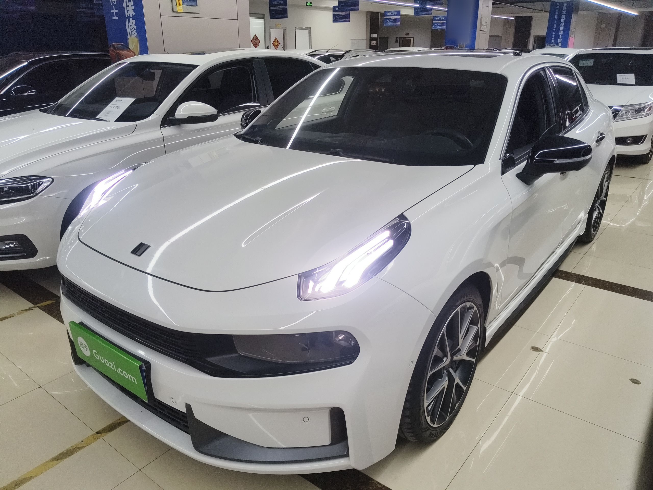 Parte inferior delantera