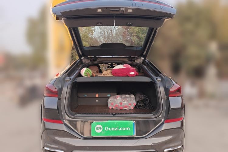 Used BMW X6 2021 xDrive40i Luxury Model with M Sport Package