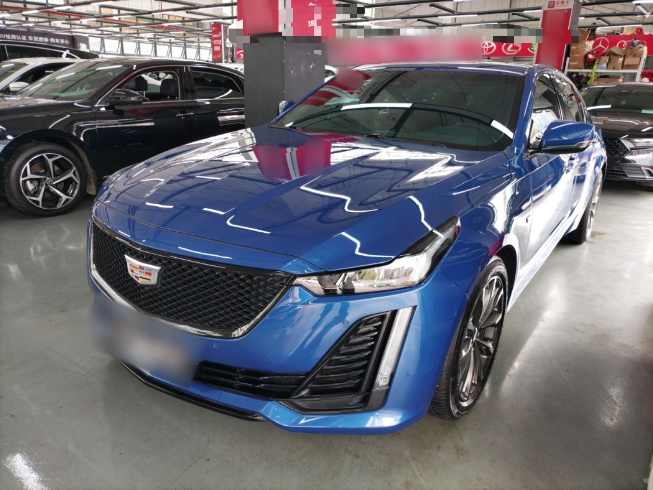 تحت مقدمة السيارة