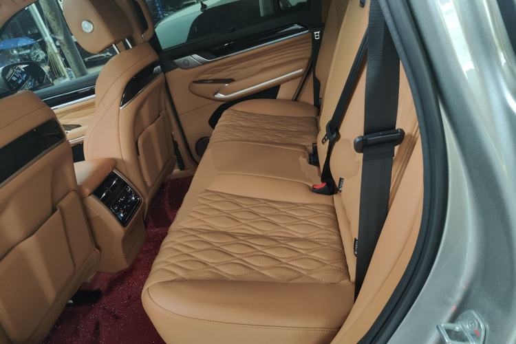 Used Tank 500 New Energy 2024 Hi4-T Left Rear Seat