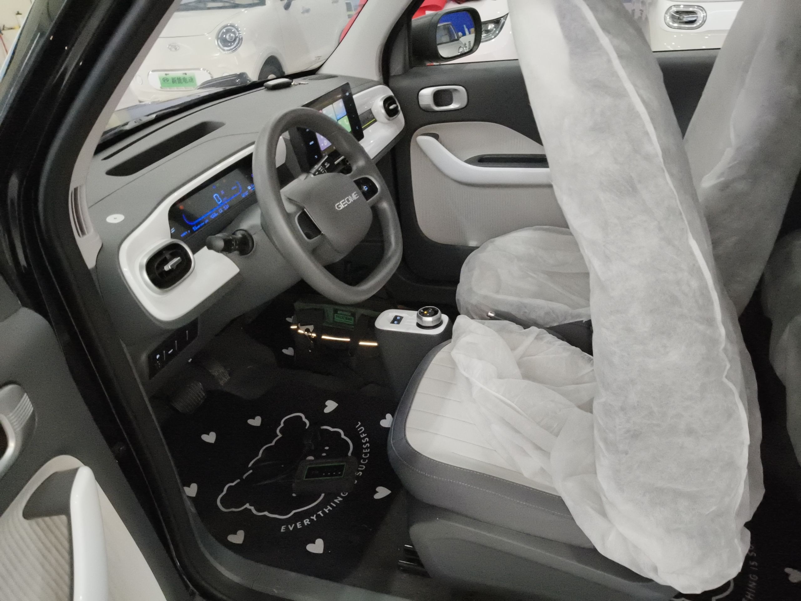 Interior delantero