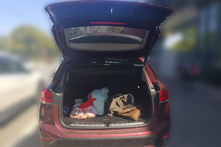 Used BMW X1 2020 sDrive20Li Fashion Model
