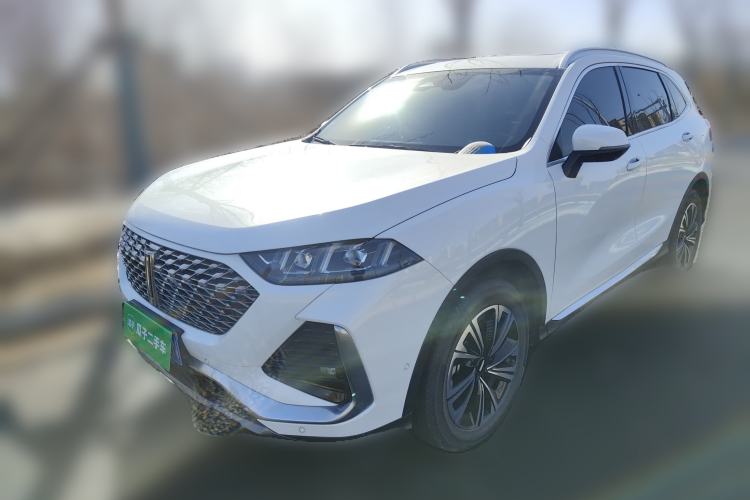 Used Wey Latte DHT 2022 1.5T DHT Extra-Large Cup