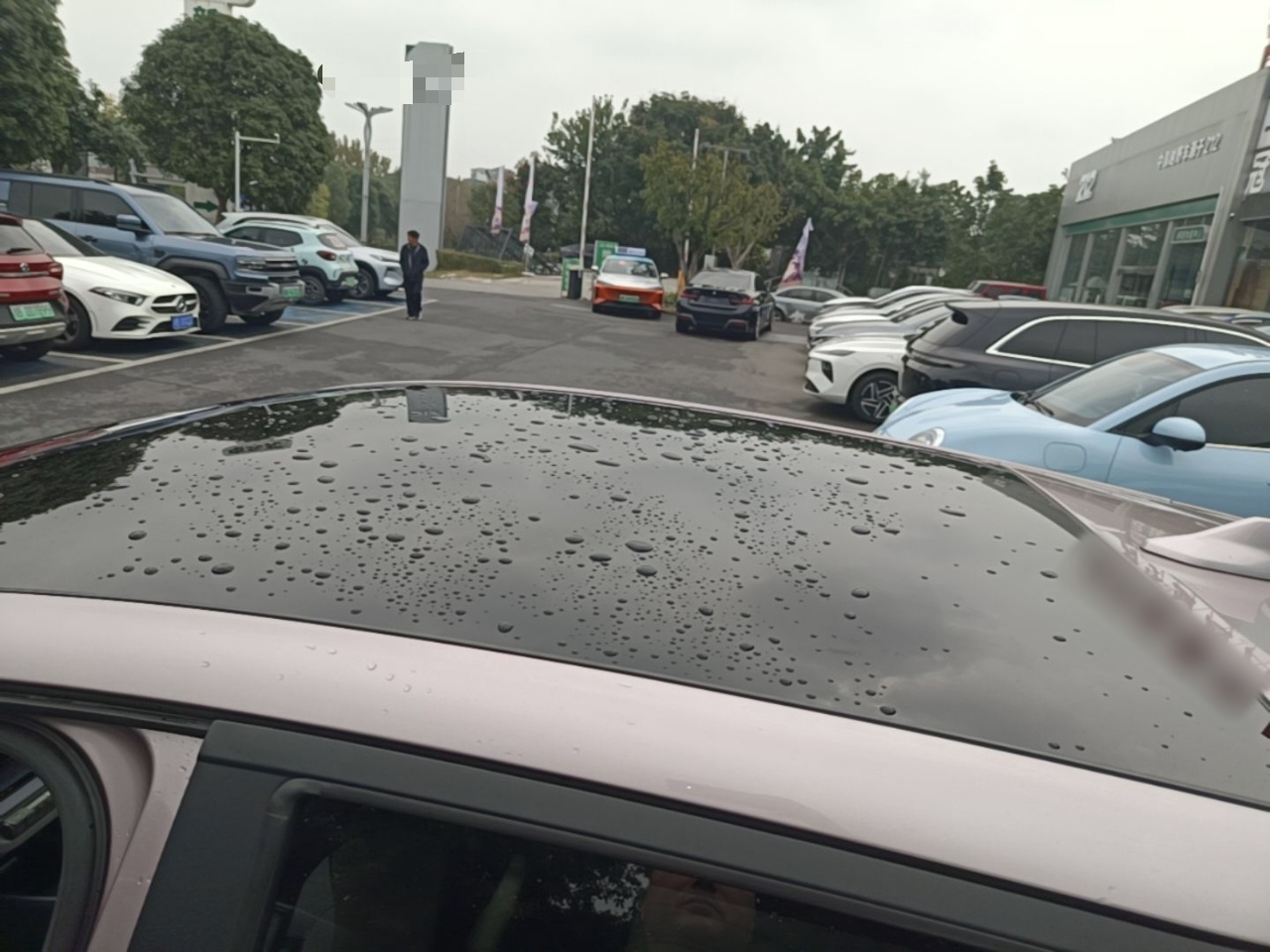 BYD Dolphin 2021 405 km Fashion Edition — снимка 7