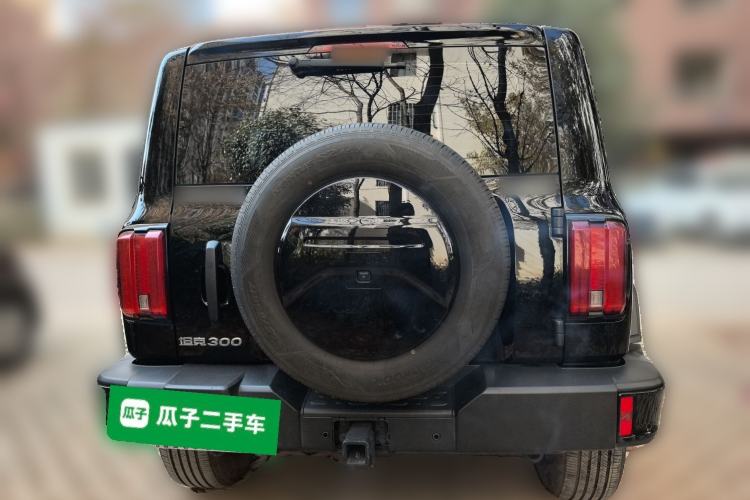 Used Tank 300 2024 2.0T Conqueror
