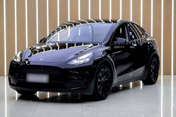 Used Tesla Model Y 2021 Standard Range Rear-Wheel Drive Version
