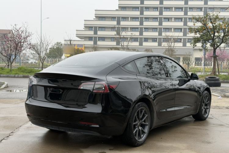 Used Tesla Model 3 2019 Standard Range Rear-Drive Upgraded Version Exterior 6