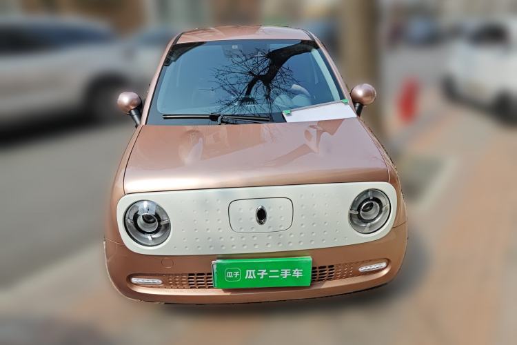 Used ORA Black Cat 2021 351 km Luxury Version Front