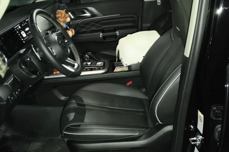 Used Tank 300 2024 2.0T Conqueror