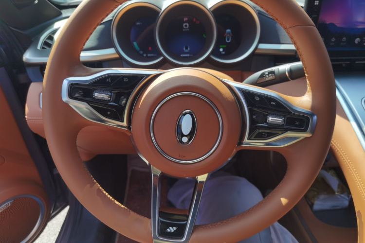 Used ORA Lightning Cat 2022 555 km Luxury Edition
