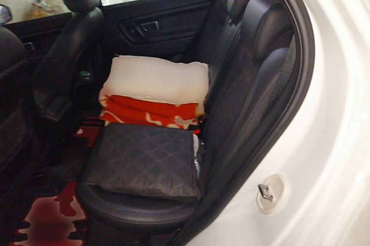 Used Land Rover Discovery Sport 2018 240 PS PURE Edition Left Rear Seat