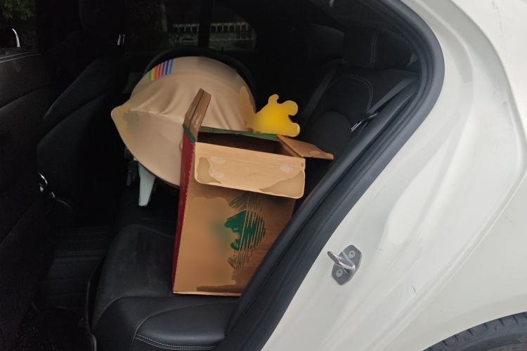 Used Mercedes-Benz C-Class 2020 Restyled C 260 Sport Edition Left Rear Seat