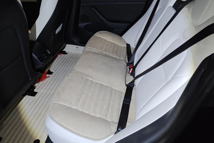 Used Tesla Model 3 2021 Standard Range Rear-Wheel Drive Upgraded Version 3D6
