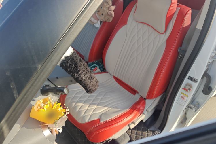 Used ORA White Cat 2020 305 km Luxury Version
