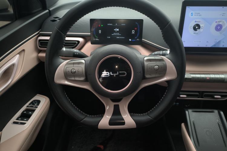 Used BYD Seagull 2025 305 km Free Version