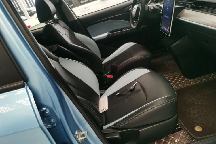 Used NETA V 2021 Long-Range Entertainment Edition Upgrade Model
