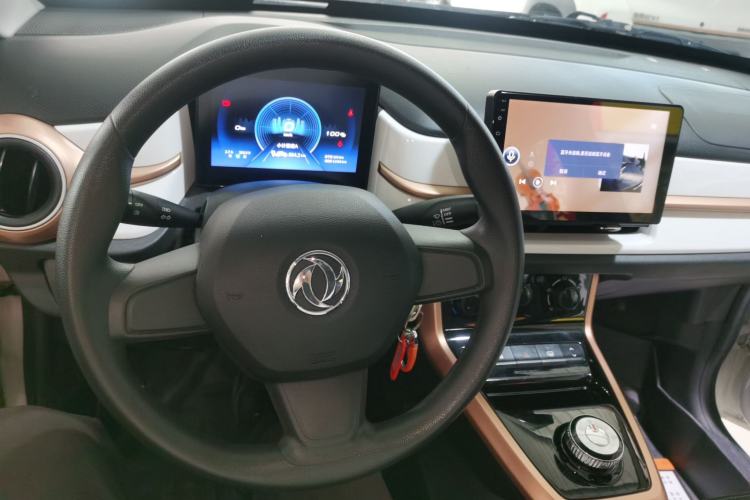 Used Dongfeng NAMMI EX1 2023 PRO Light Wind Edition Lightning Model