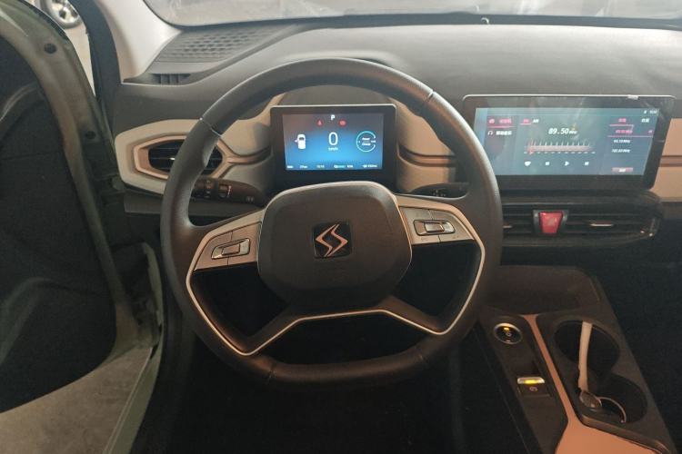 Used SOL E10X 2022 Flower Fairy Design Four-Leaf Clover
