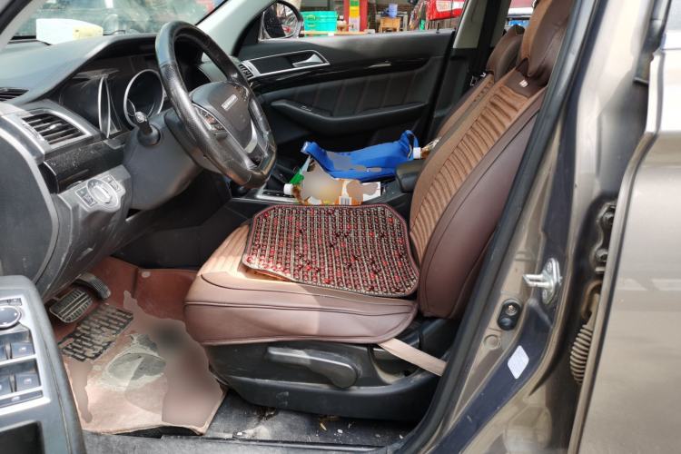 Used Leopaard CS10 2017 2.0T Automatic Urban Version