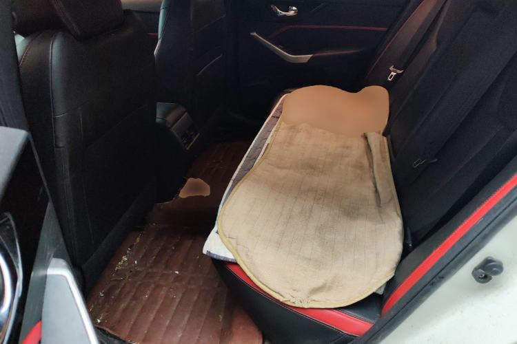 Used Venucia D60 2018 1.6L CVT Smart Connect Elite Edition Left Rear Seat