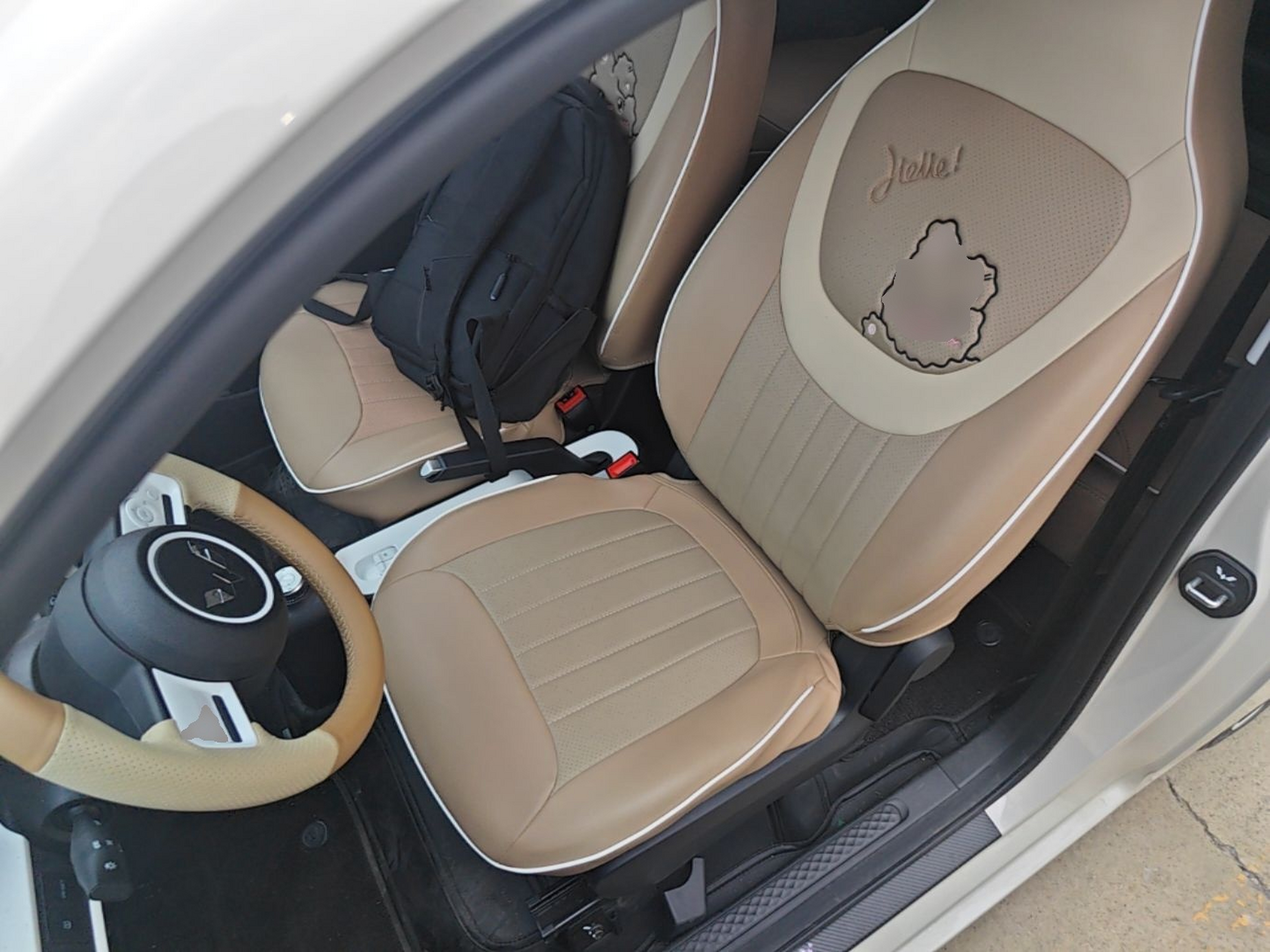 Interior delantero