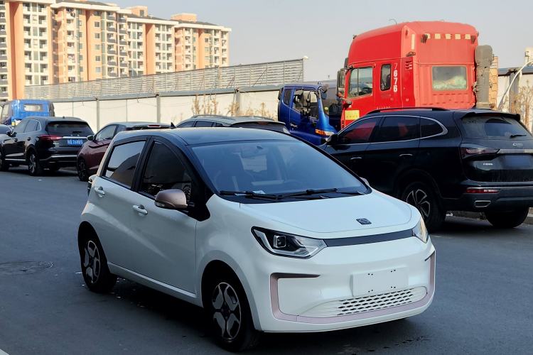 Used SOL E10X 2022 Flower Fairy Style Baby's Breath