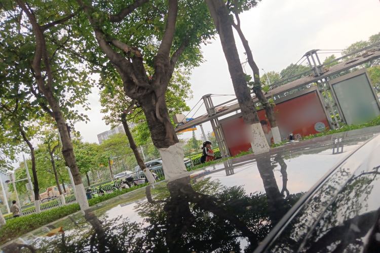 Used Audi A6L 2024 45 TFSI Prestige Dynamic Edition