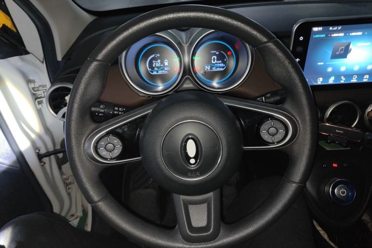 Used ORA Black Cat 2022 Updated Version 301 km Cute Pet Edition Lithium Iron Phosphate Steering Wheel