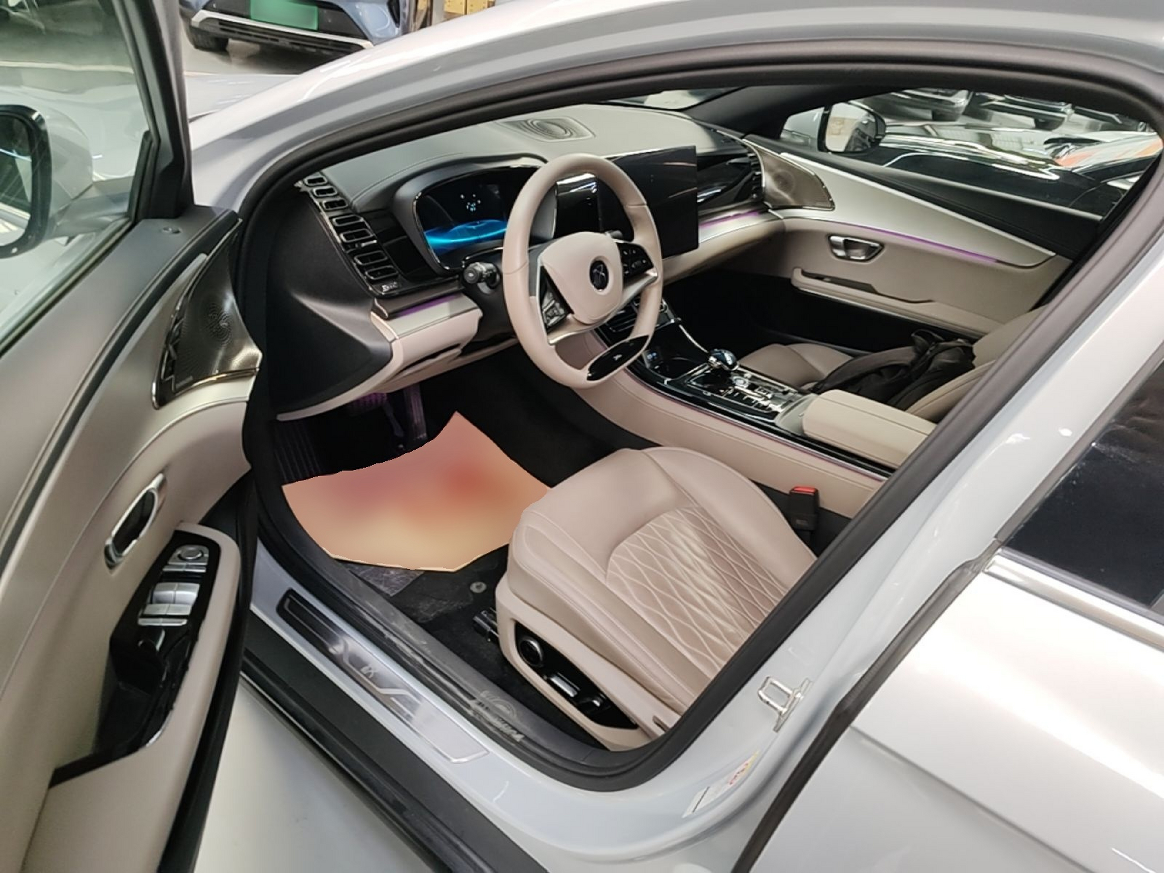 Interior delantero