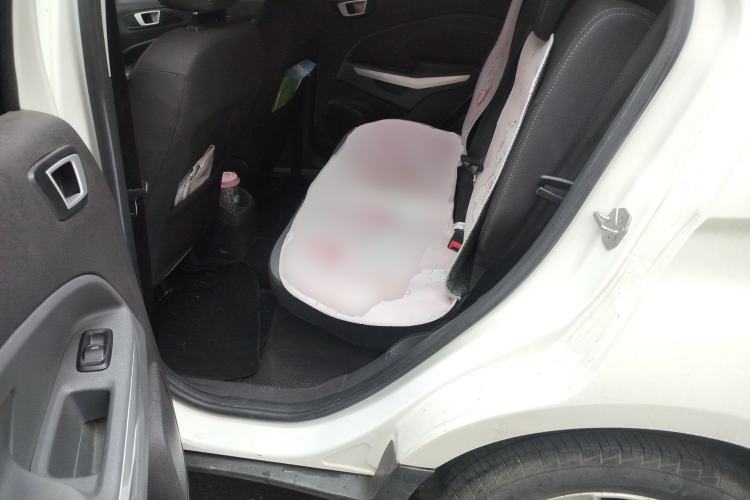 Used Ford EcoSport 2017 1.5L Automatic Trend Model Left Rear Seat