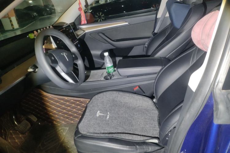 Used Tesla Model Y 2021 Standard Range Rear-Wheel Drive Version
