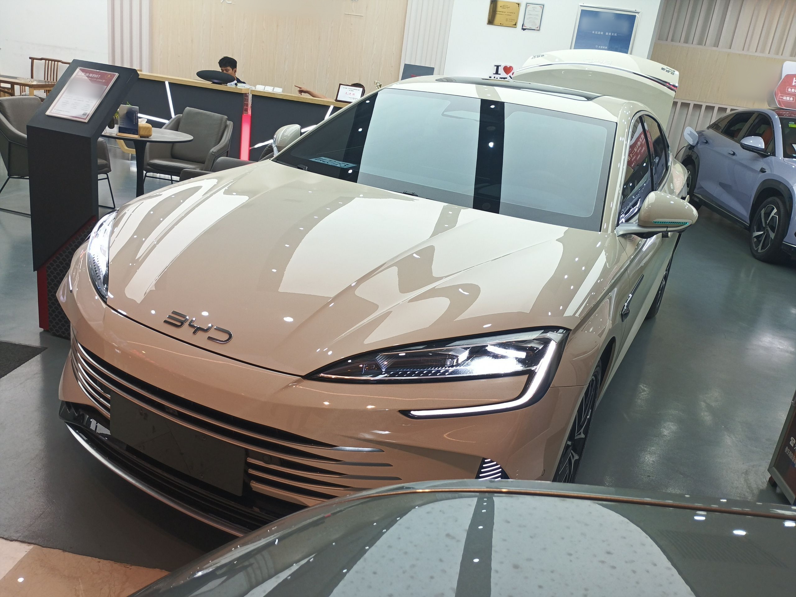 Parte inferior delantera