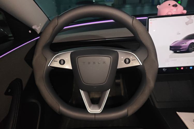 Used Tesla Model 3 2023 Rear-Wheel-Drive Version
