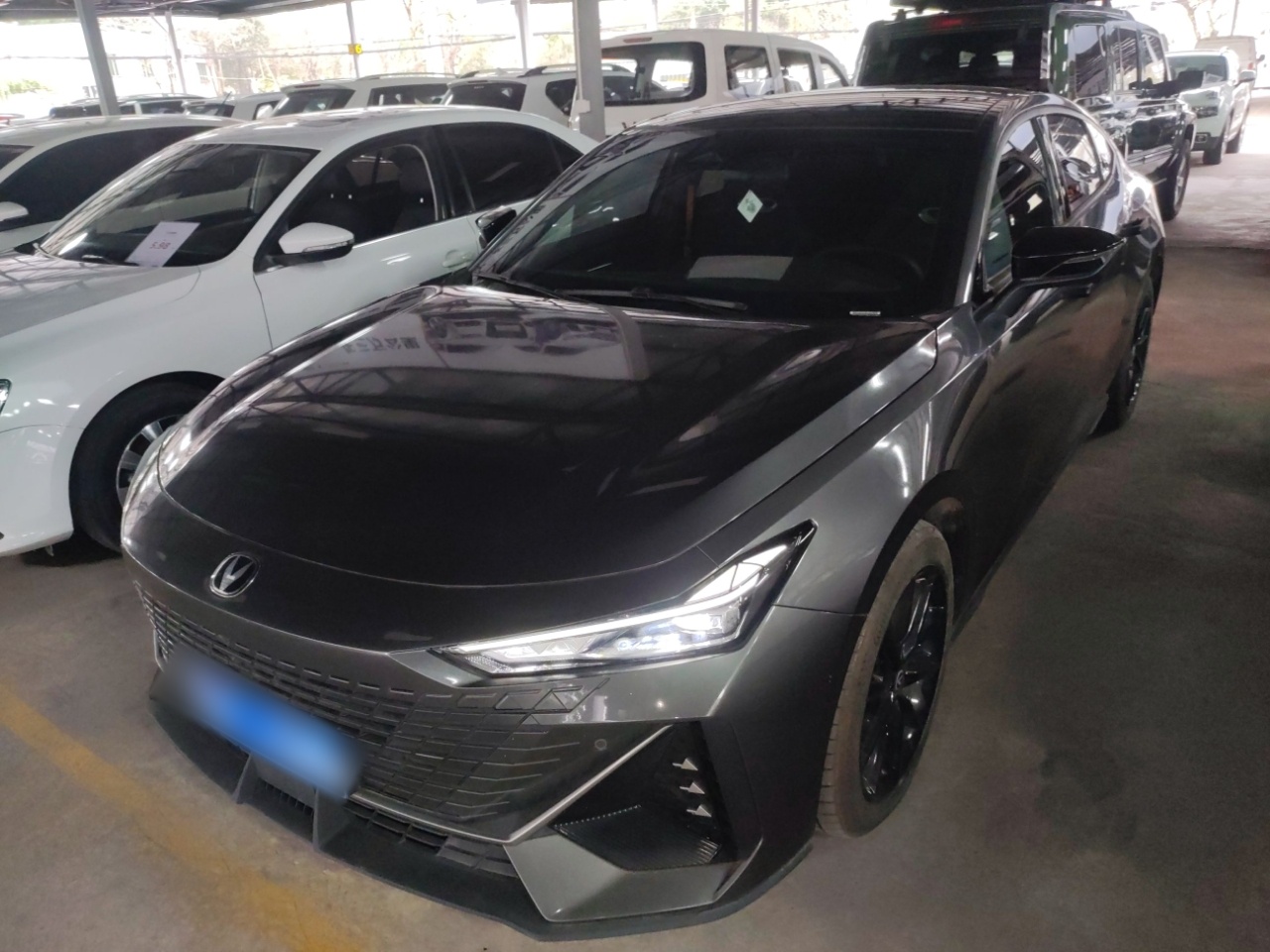 تحت مقدمة السيارة