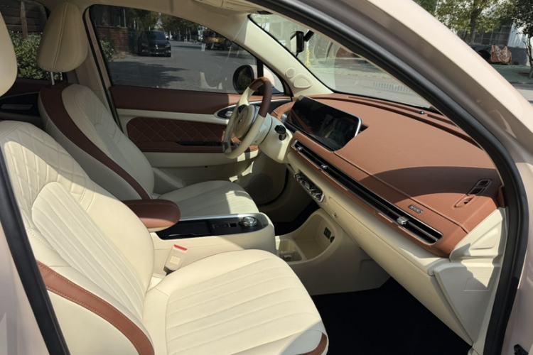 Used ORA Good Cat 2022 Morandi Edition 400km Standard Range Two-Week Young Enjoyment Version Lithium Iron Phosphate
