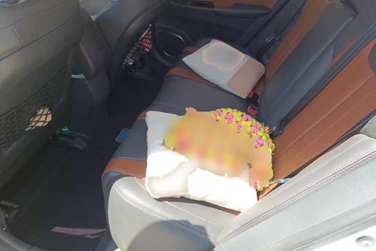 Used BYD Qin New Energy 2015 1.5T Dual-Crown Flagship Plus Edition
