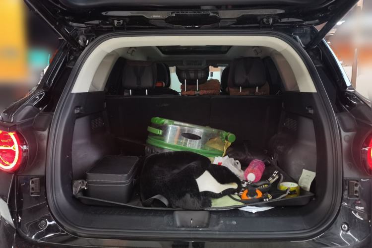 Used Haval H Dog New Energy 2023 DHT-PHEV 105km Tide Electric Version Plus Trunk