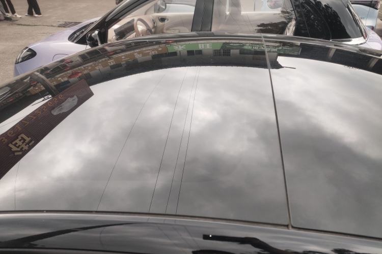 Used Tesla Model 3 2022 Rear-Wheel-Drive Version Roof