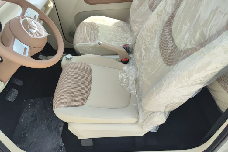 Used Wuling Hongguang MINIEV 2024 3rd Generation 215km Youth Edition Left Front Seat