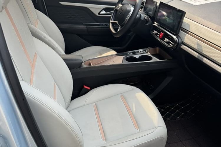 Used SOL E10X 2022 Flower Fairy Design Four-Leaf Clover