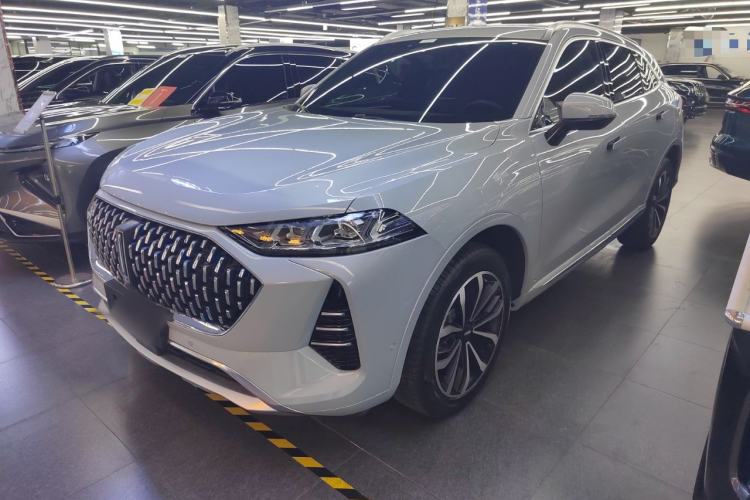 Used Wey Mocha 2021 2.0T Two-Wheel-Drive Ultra-Strong Version