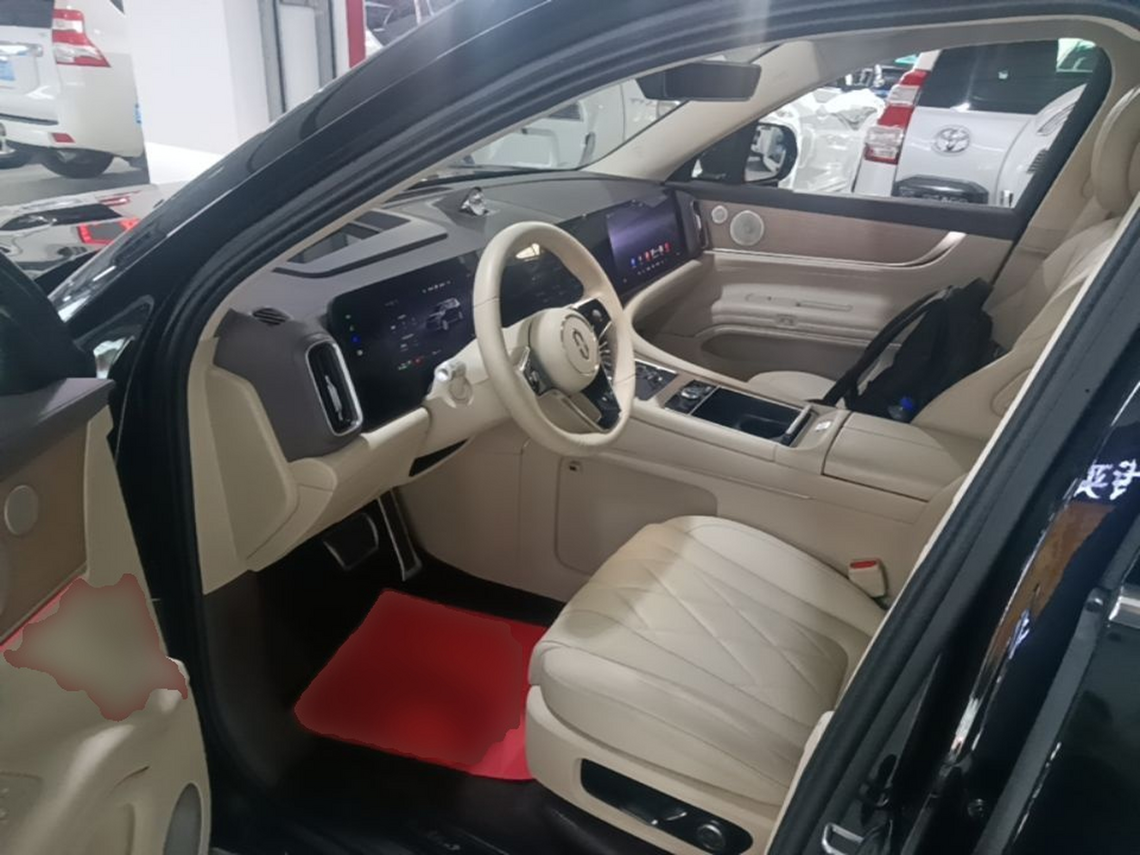 Interior delantero