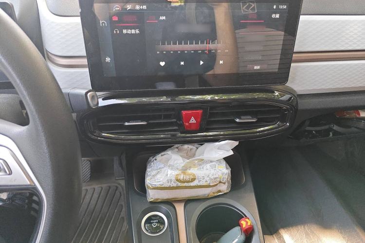 Used SOL E10X 2022 Flower Fairy Design Four-Leaf Clover