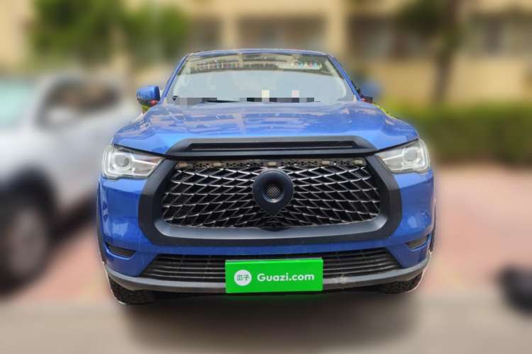 Used Great Wall Poer 2019 2.0T Commercial Version Manual Gasoline 4x4 Elite Long-Box GW4C20B