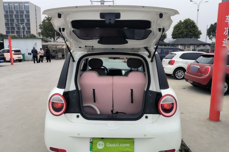 Used Qiyuan Lumin 2025 210 km Fragrant Edition
