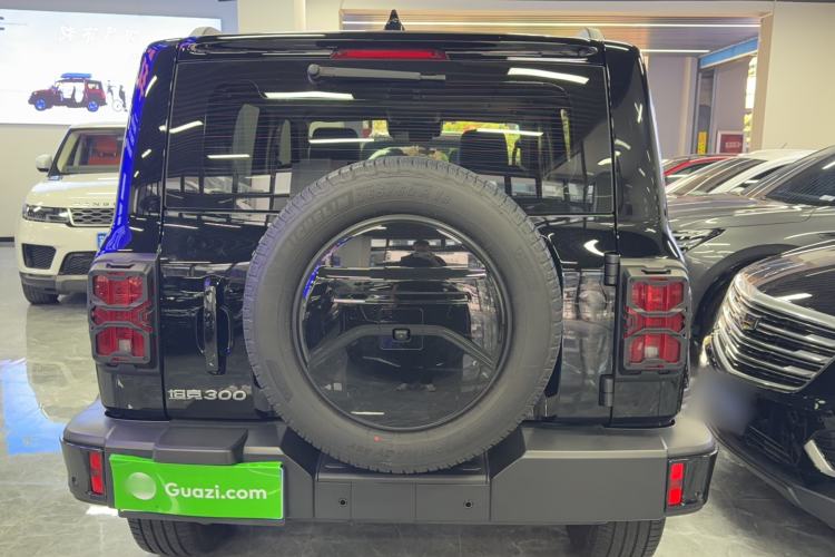 Used Tank 300 2024 2.0T Crosser Rear